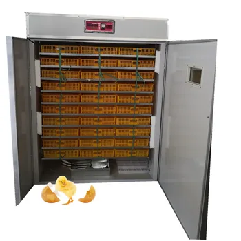 5280 Коммерческих Инкубаторов для куриных яиц На продажу Инкубаторная машина для выведения яиц Инкубаторы для инкубационных яиц